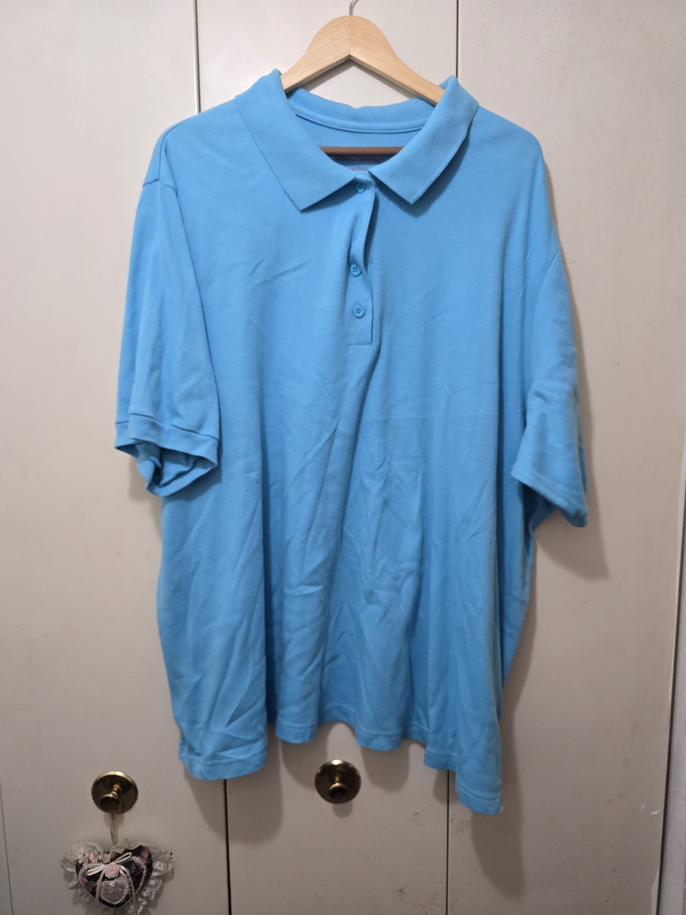 Woman Within Men's Polo in Bright Blue